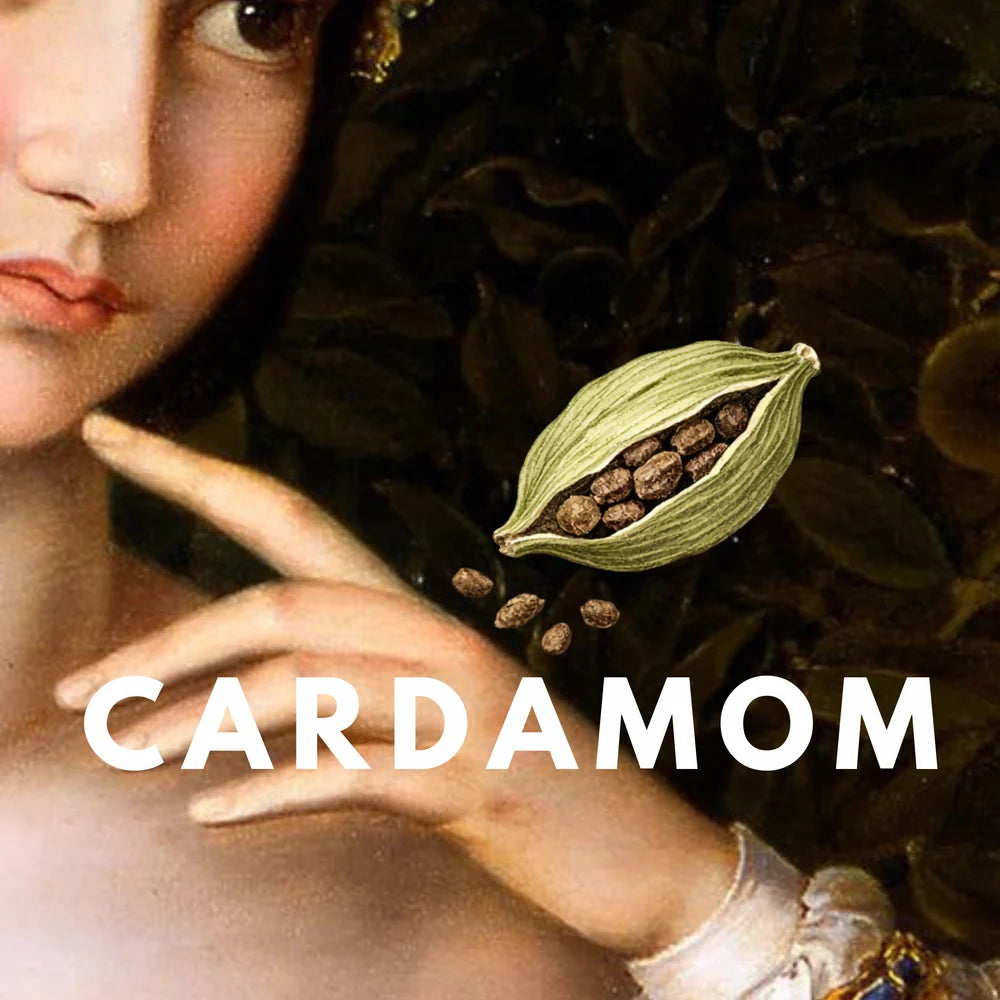 Cardamom Solid Perfume Pod (2g) | Refillable Clean Fragrance