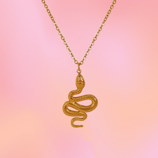 Snake Charm Titanium Necklace