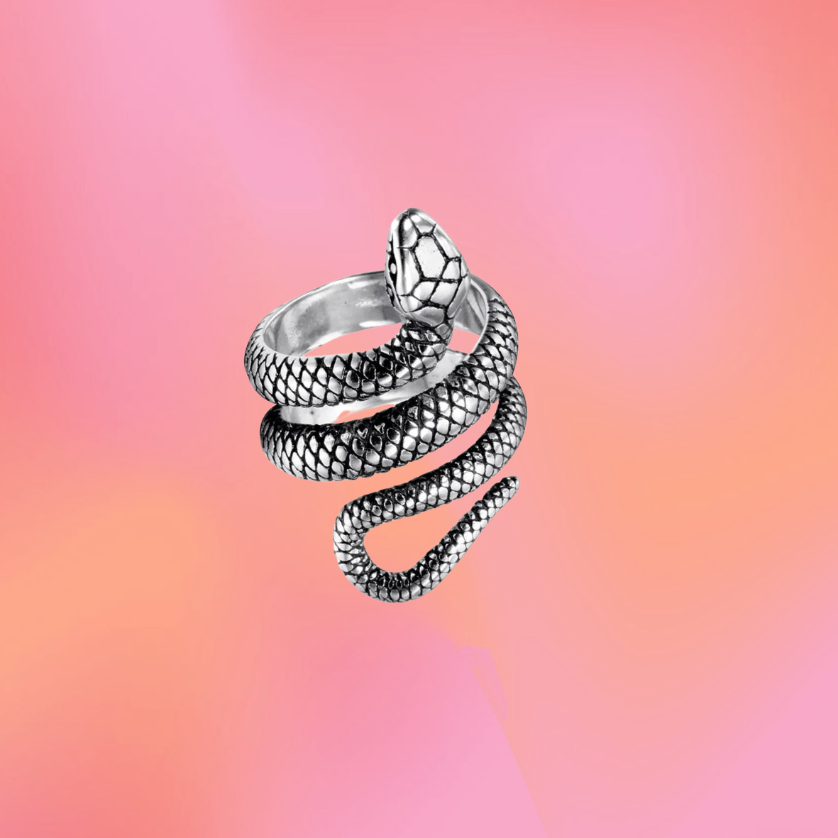 Titanium Snake Ring