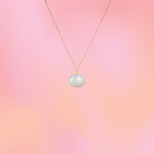 Shell Pearl Titanium Charm Necklace